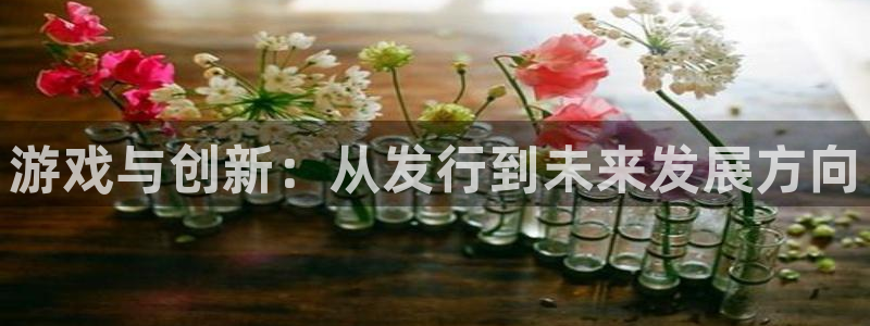 广东完美电竞官网电子商务有限公司电话：游戏与创新：从发行到未来发展方向