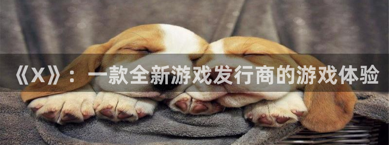 完美电竞注册平台登录不了：《X》：一款全新游戏发行商的游戏体验