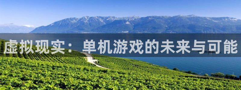 完美电竞注册方法视频：虚拟现实：单机游戏的未来与可能