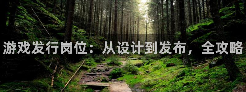 广州完美电竞官网网络科技有限公司招聘：游戏发行岗位：从设计到发布，全攻略