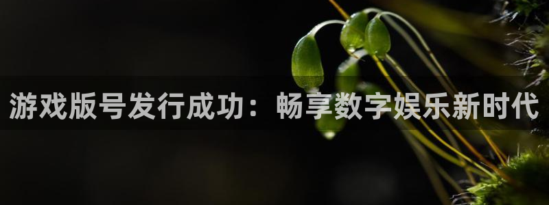 完美电竞官网子经理人读后感