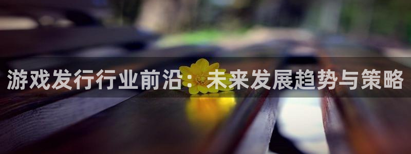 完美电竞官网电商怎么样