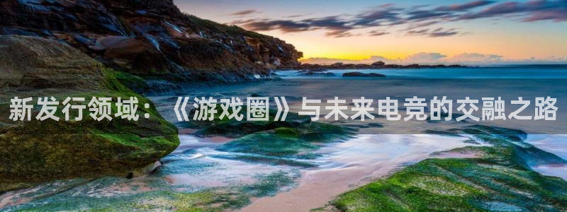 完美电竞登录注册不了怎么回事