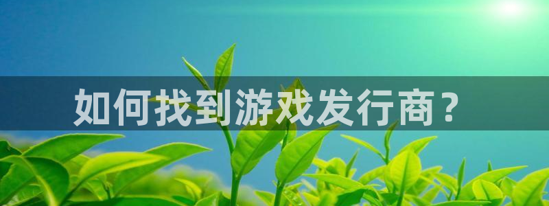 广东完美电竞官网电商bruno