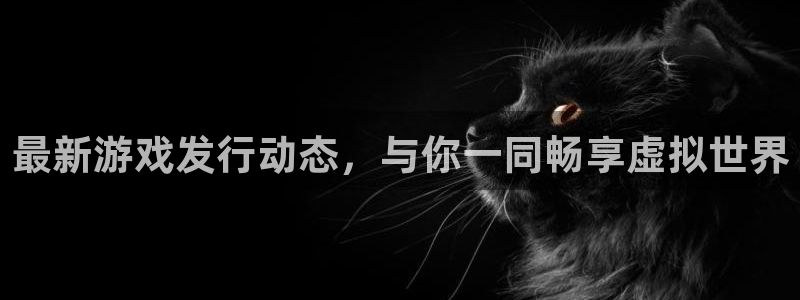 完美电竞官网科技股票