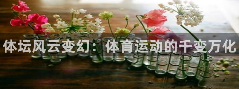 3377体育官网下载