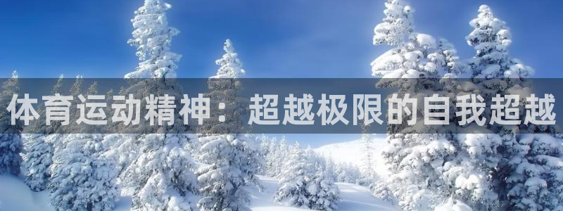 3377体育(中国)官方网站
