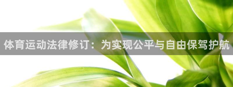 3377体育官网入口网页版