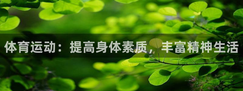 3377体育app官方下载