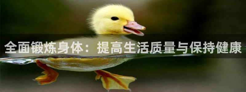 3377体育官网