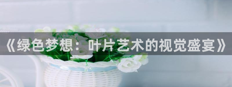 3377体育app官网下载地址
