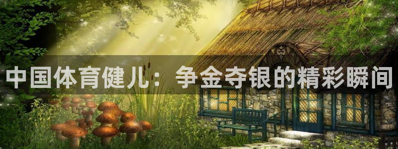 3377体育官网入口网页版