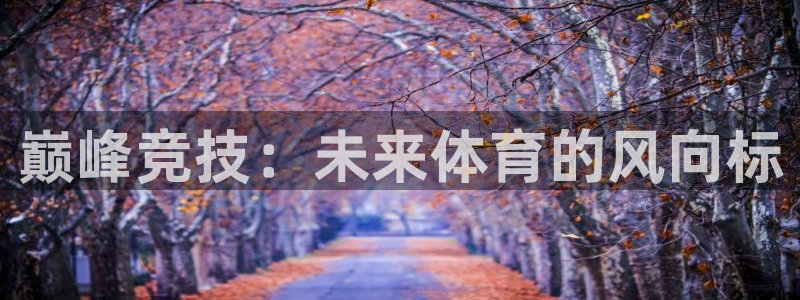 3377体育在线登录官网入口