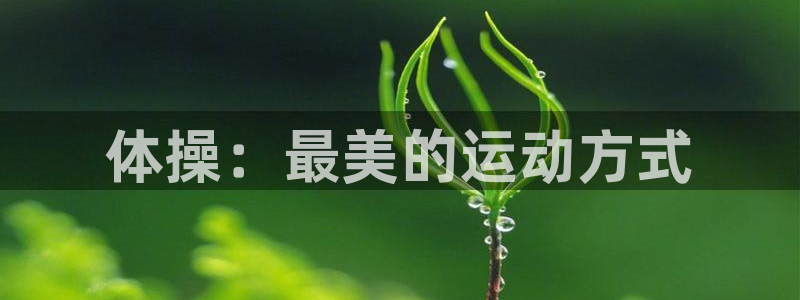 3377体育是正规平台吗
