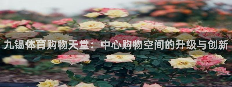 3377体育官网入口网页版